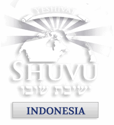 logo_shuvu_web_indonesian_228x200_3